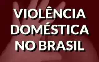 Direitos das Mulheres Vítimas de Violência Doméstica 15 Violência domestica